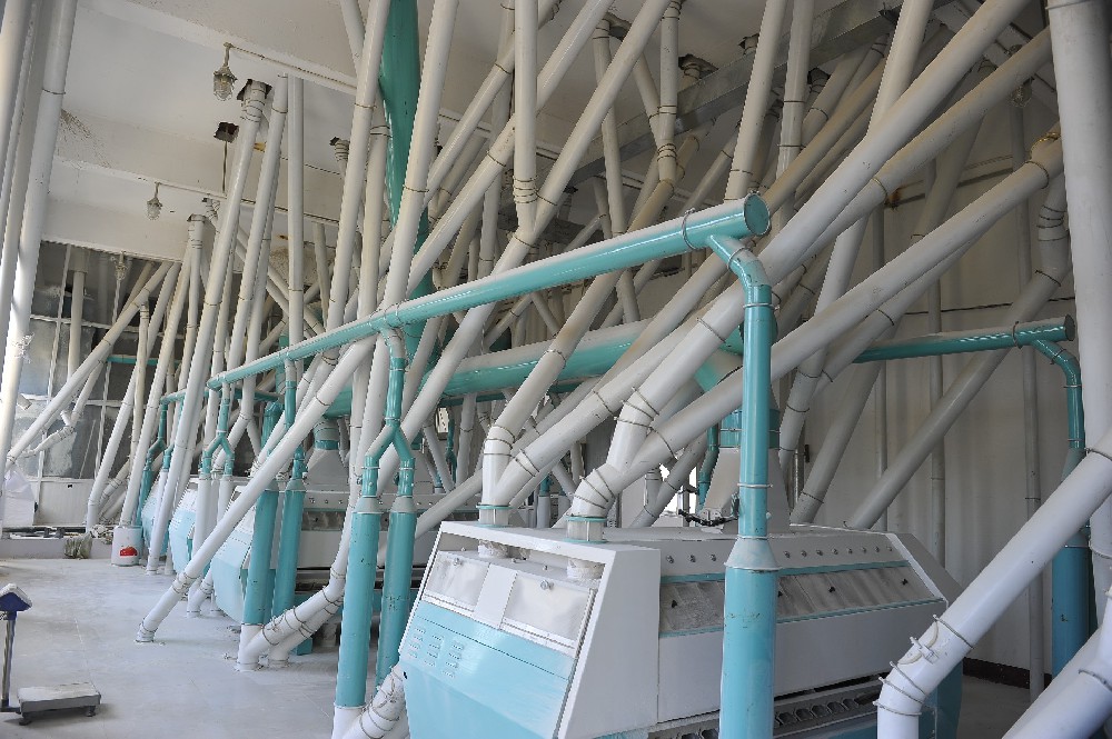 食品加工廠設(shè)備煥新裝：晨虹醇酸清漆，守護(hù)安全與衛(wèi)生